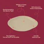 12" Chuk Bleach-Free Sugarcane Bagasse Compostable Plate | Zero Waste | Disposable| Eco-Friendly| Microwave, Oven & Freezer Safe