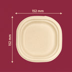 6" Chuk Bleach-Free Sugarcane Bagasse Compostable Plate | Zero Waste | Disposable| Eco-Friendly| Microwave, Oven & Freezer Safe