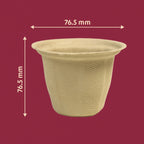 110ml Cup |Chuk Bleach-Free Sugarcane Bagasse Compostable| Zero Waste | Disposable| Eco-Friendly| Microwave, Oven & Freezer Safe